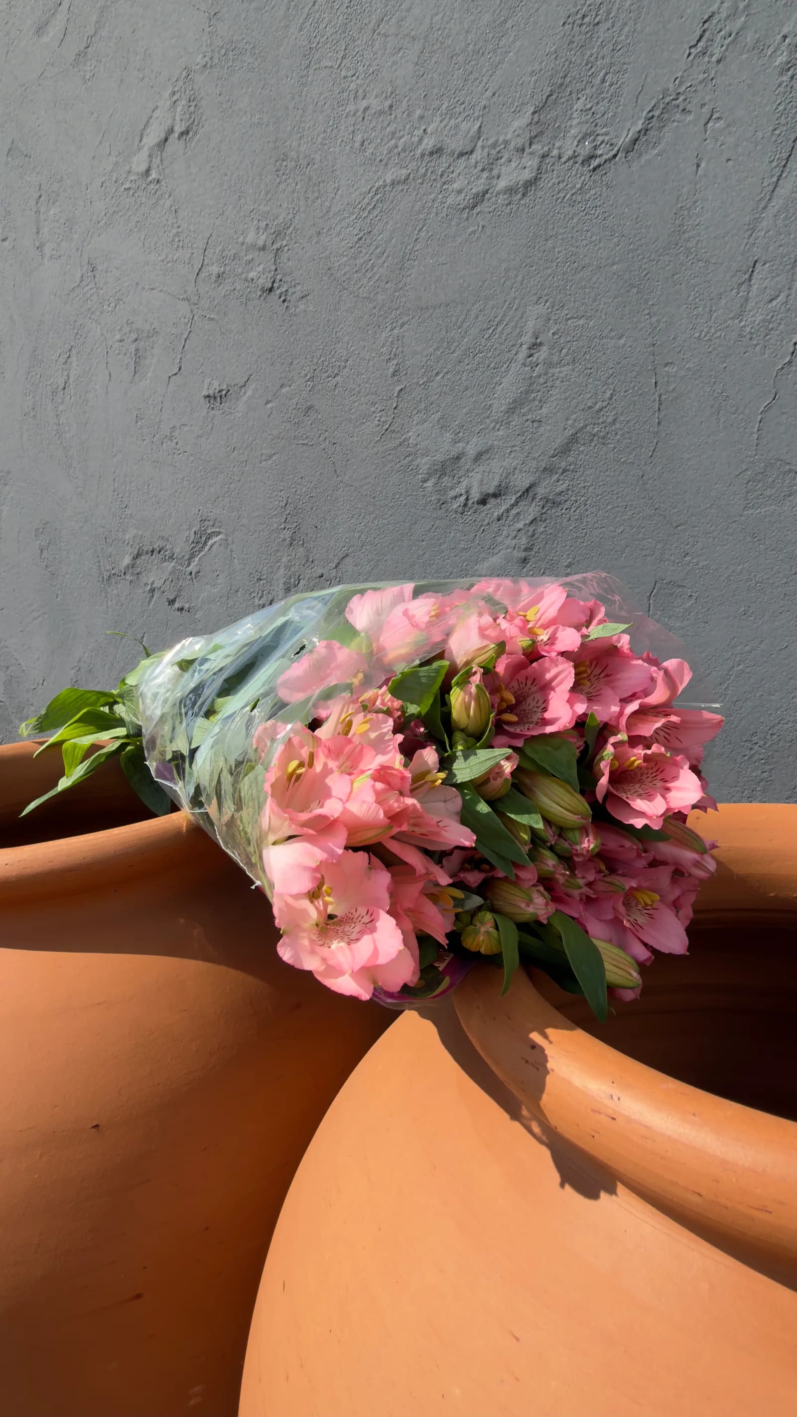 Maço de Alstroemeria 3